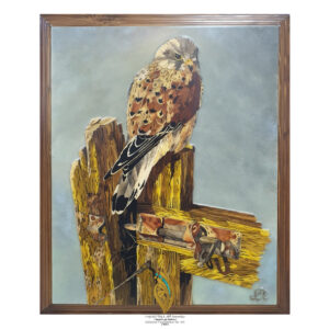 Aqeel Al-Faili – Free falcon